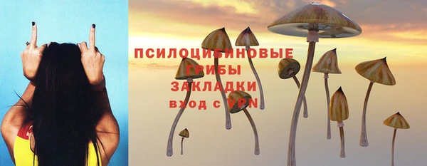 спиды Аркадак