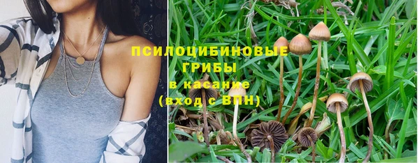 спиды Аркадак