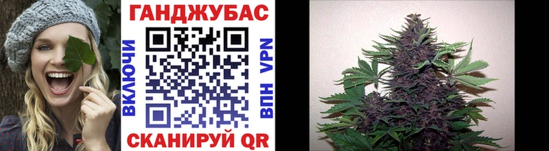 Каннабис план Полысаево